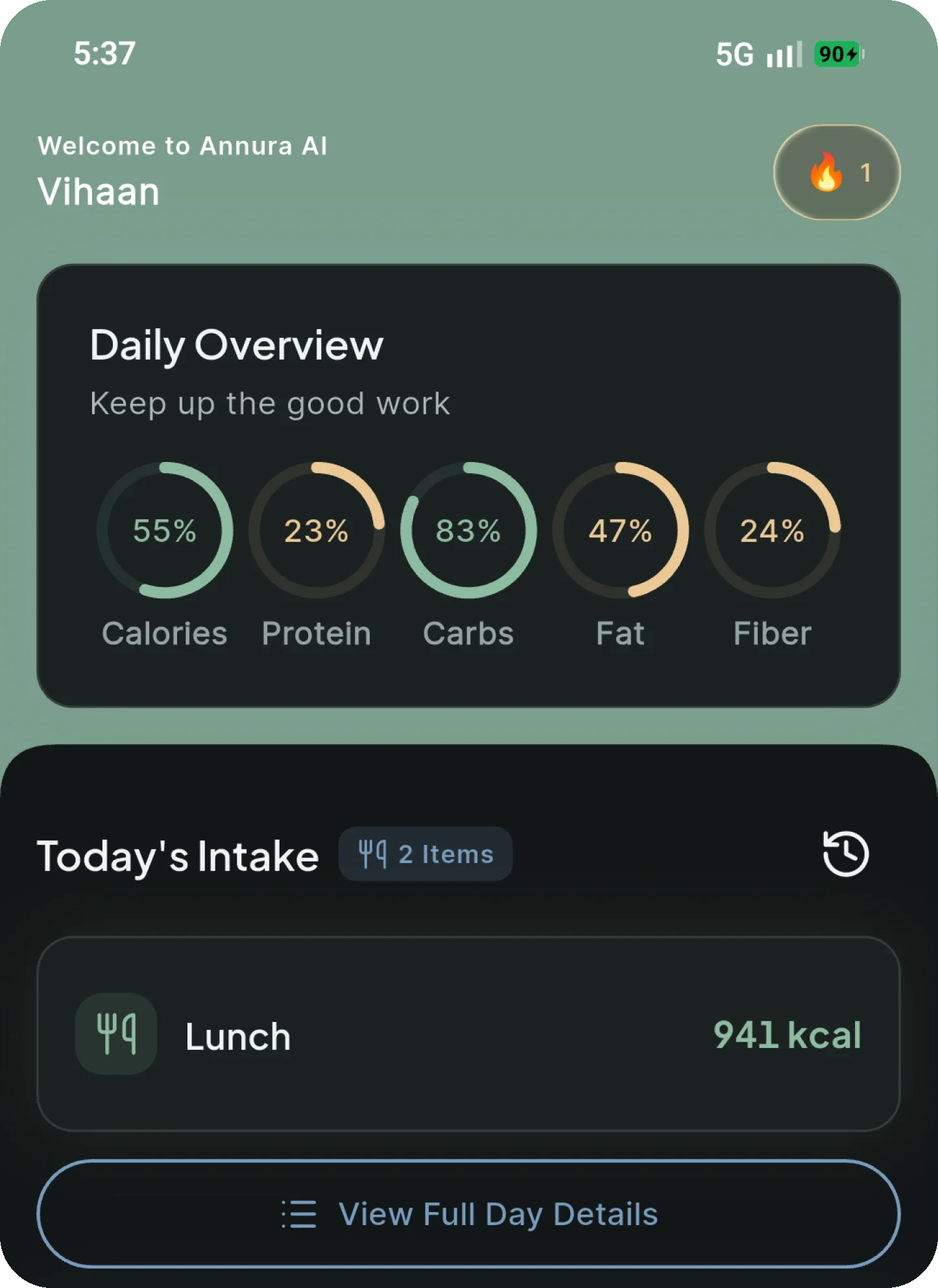 App interface